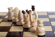 KING'S - LARGE - Insert tray