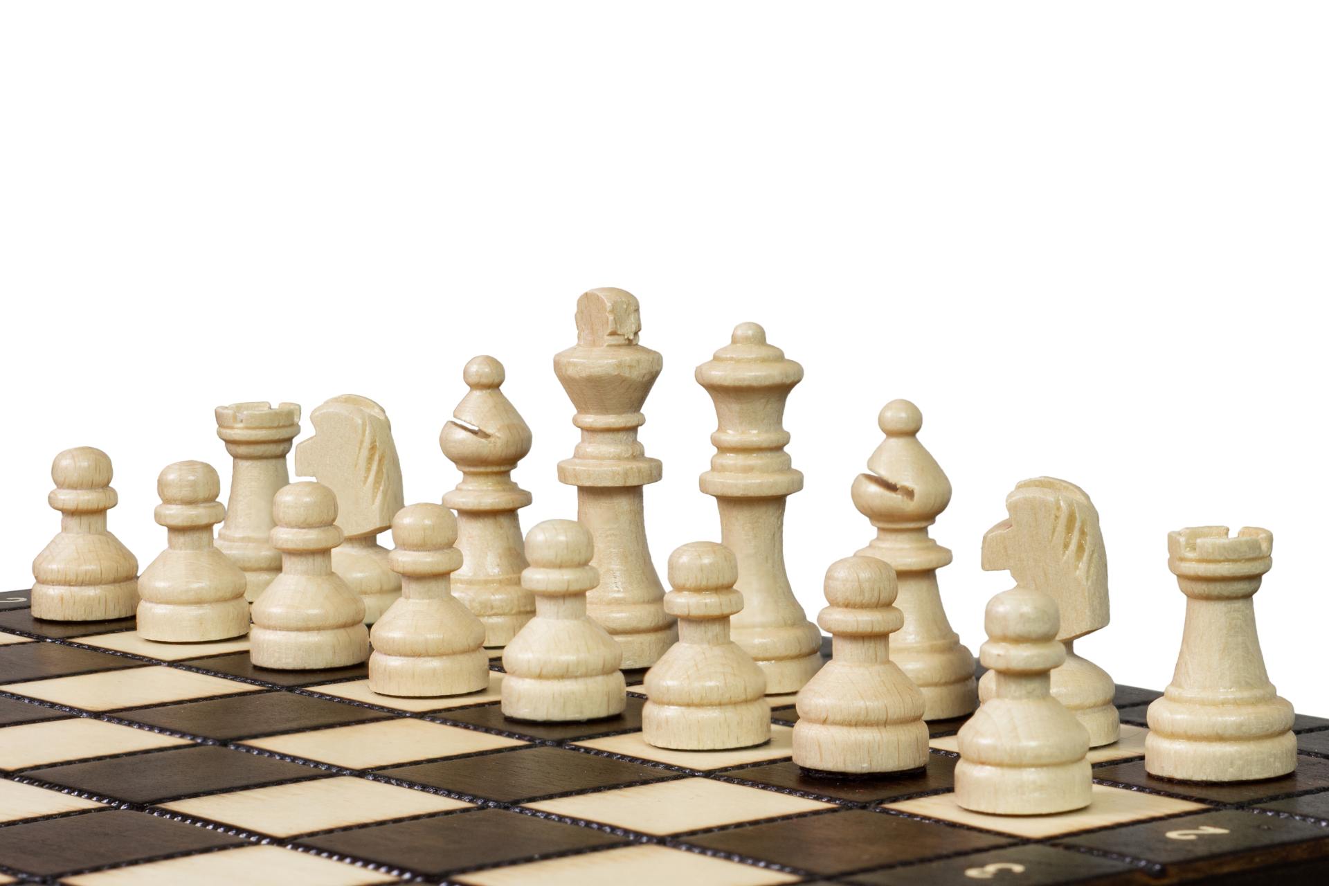 MAGNETIC SCHOOL CHESS - MAGNETIC SCHOOL CHESS