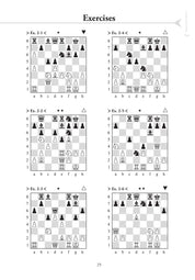 Chess Evolution 2, de Artur Yusupov (tapa blanda)