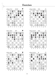 Chess Evolution 2, de Artur Yusupov (tapa blanda)