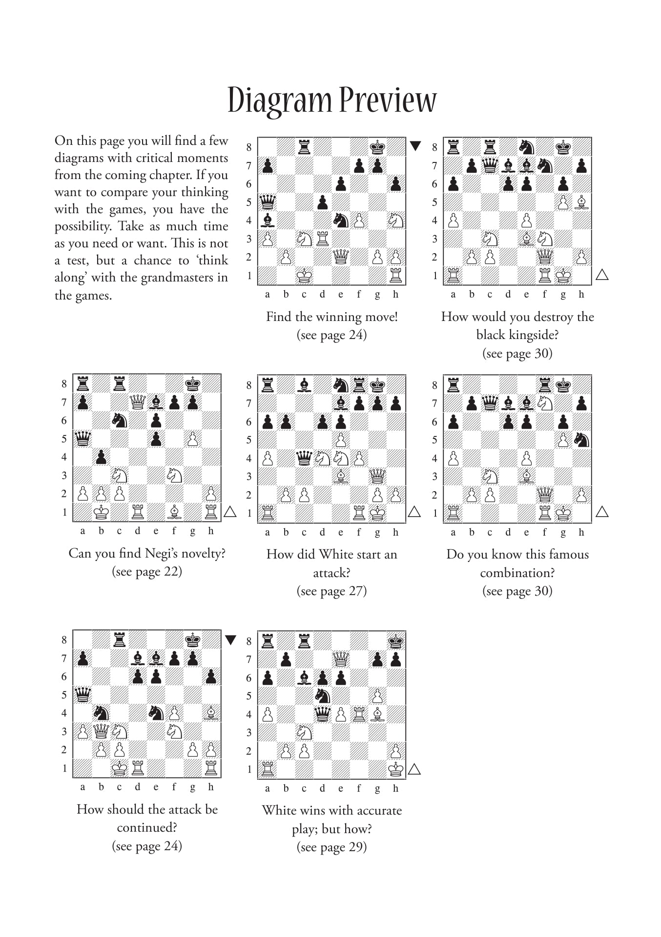 Dynamic Decision Making in Chess by Boris Gelfand (Paperback) - Dynamic Decision Making in Chess by Boris Gelfand (Paperback)
