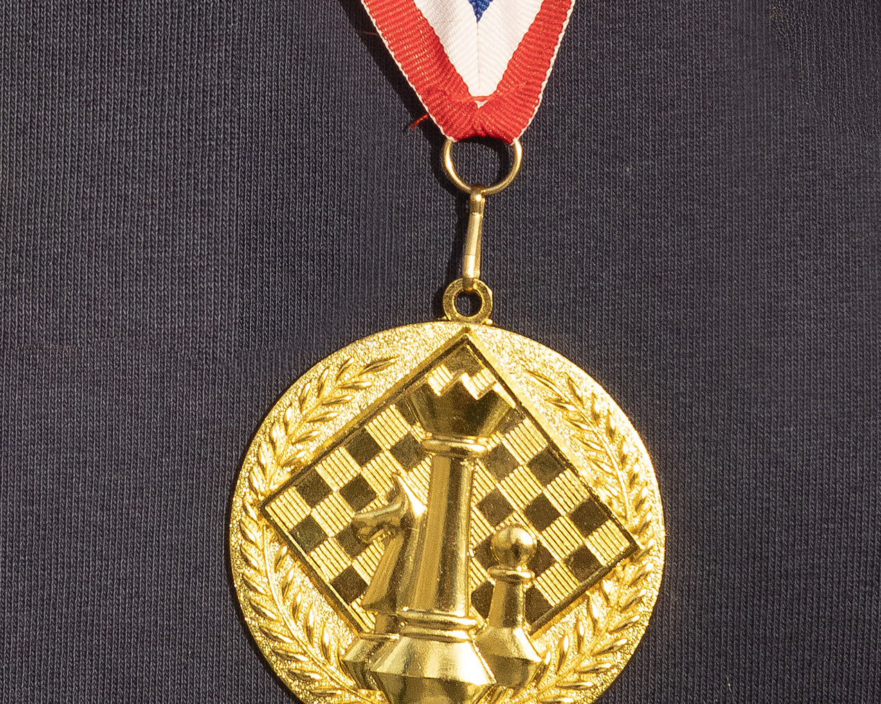 IMG_3114L5_GOLD_MEDAL_ARR_2.jpg
