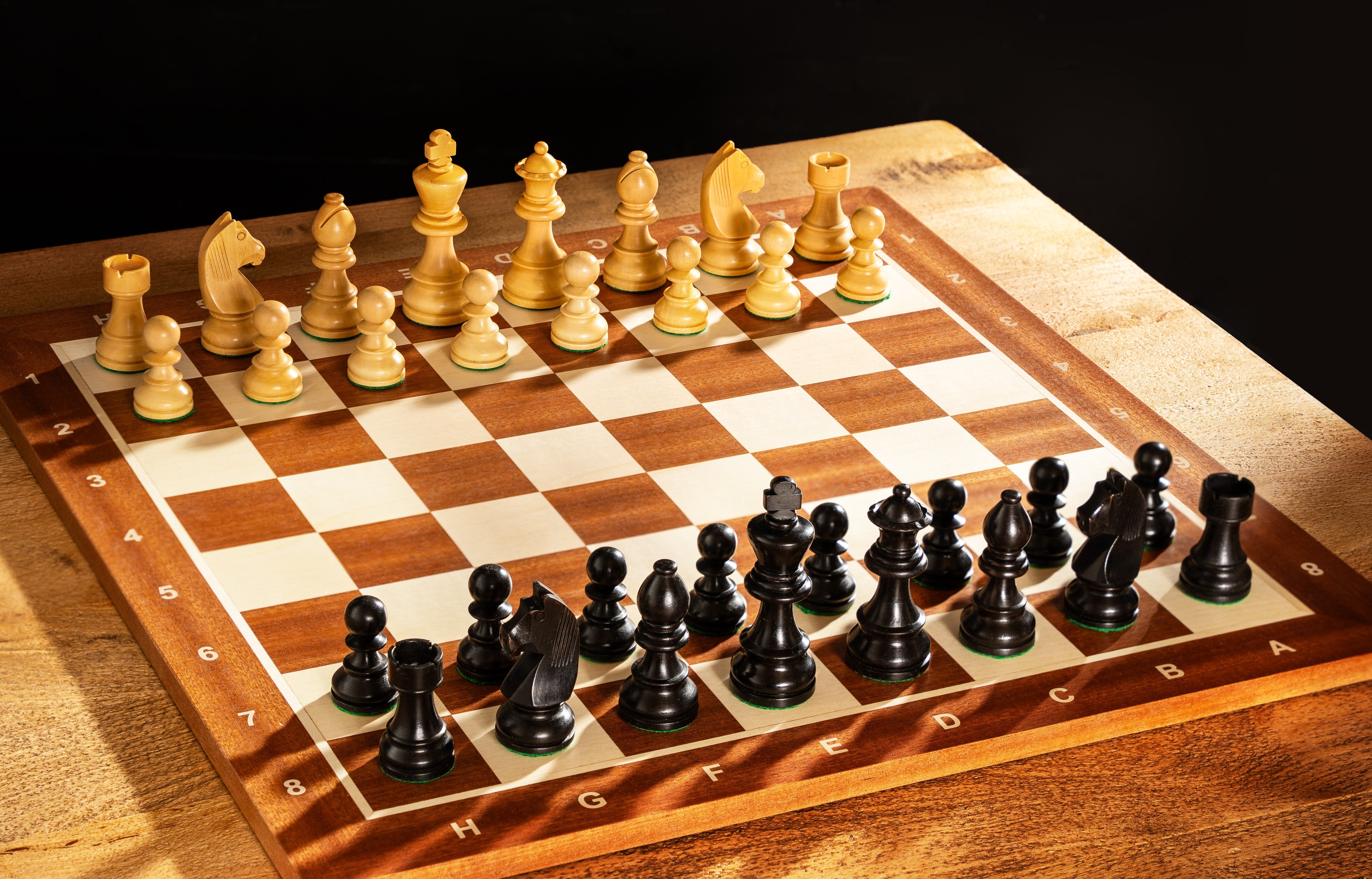 Tournament chess set No. 6 - 58mm board + German Knight 3.75" pieces - Tournament chess set No. 6 - 58mm board + German Knight 3.75" pieces